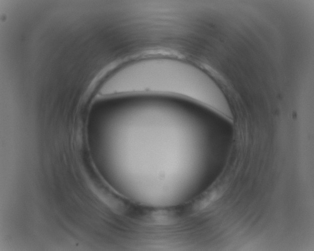 X0000062870064200601131021