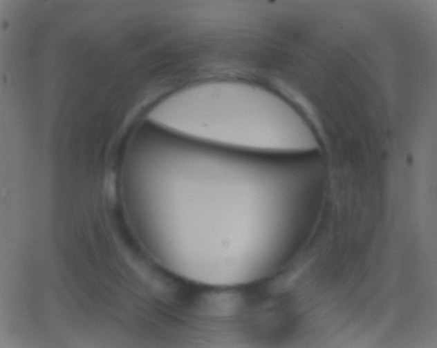 X0000062870067200601131021