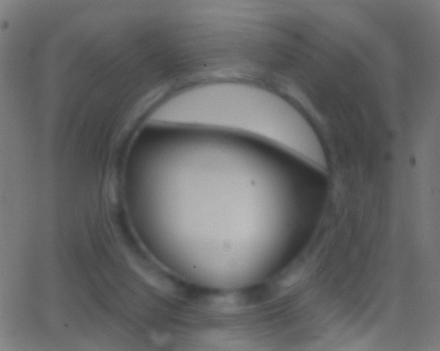 X0000062870068200601131021