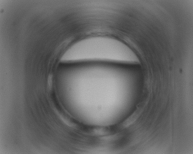 X0000062870070200601131021