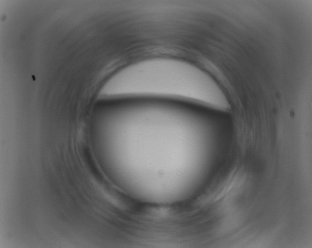 X0000062870071200601131021