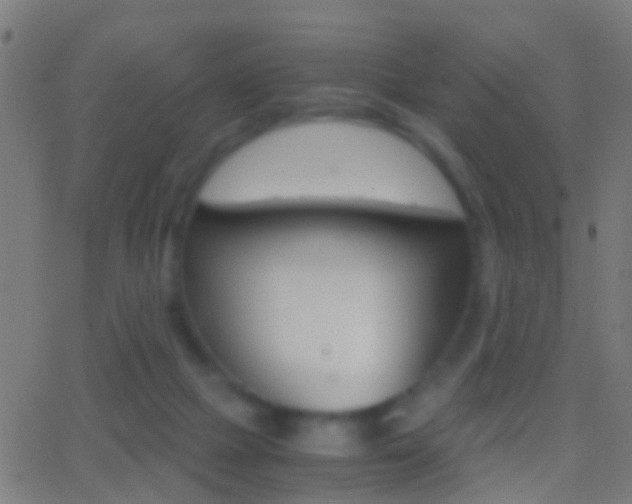 X0000062870073200601131022