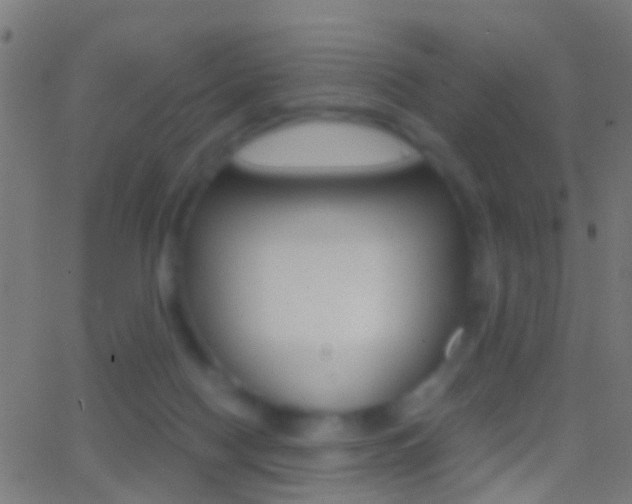 X0000062870074200601131022