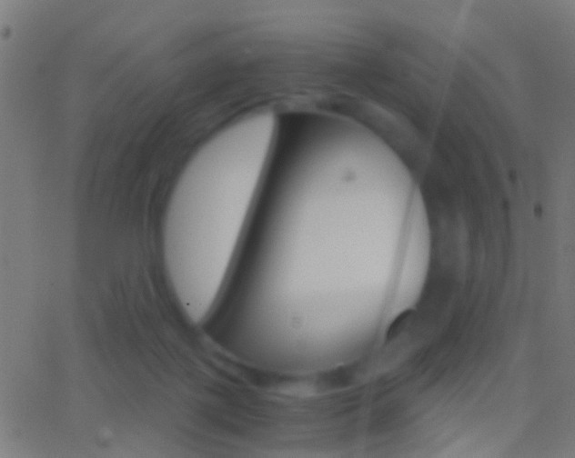 X0000062870075200601131022