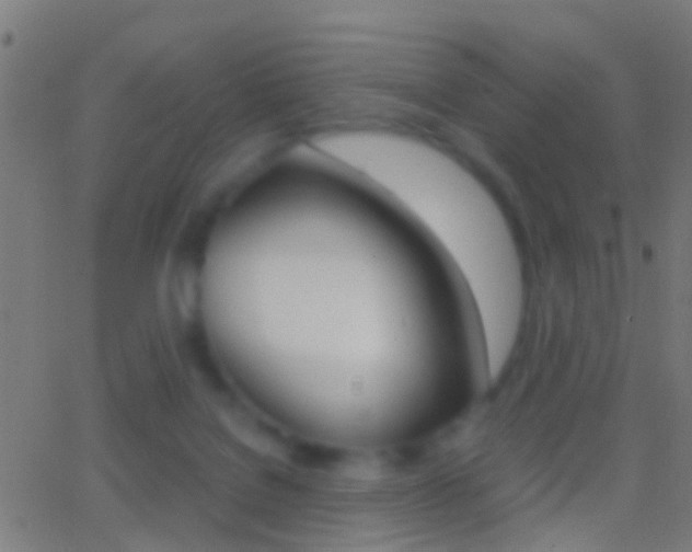 X0000062870076200601131022