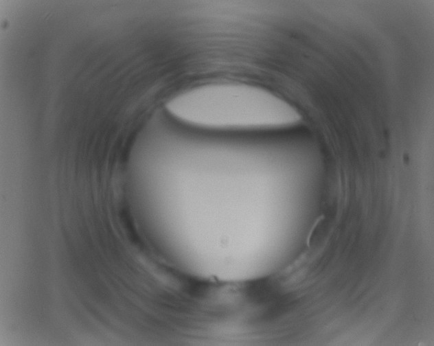 X0000062870078200601131022