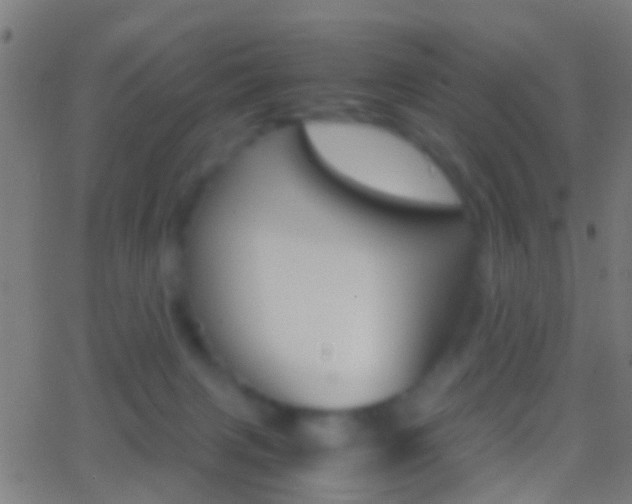 X0000062870079200601131022