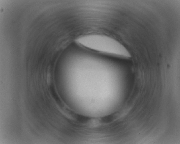 X0000062870080200601131022