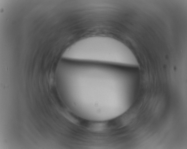 X0000062870081200601131022