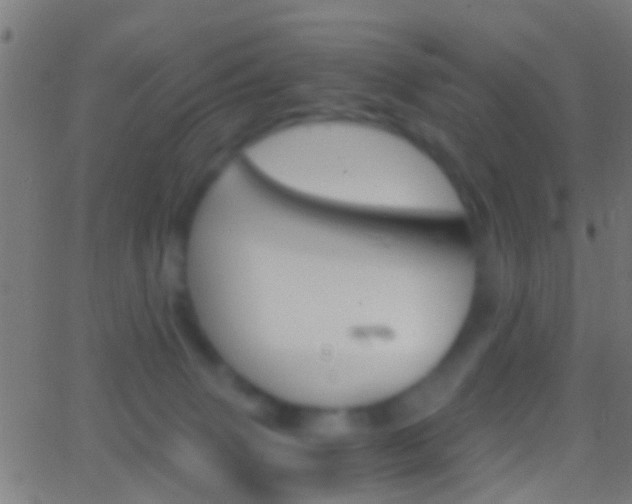 X0000062870083200601131022