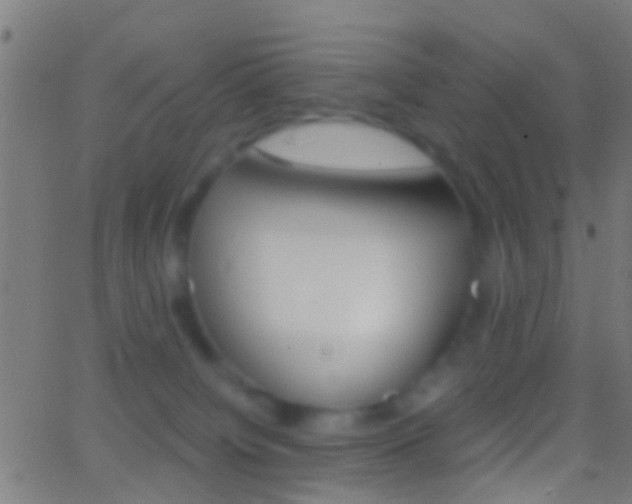 X0000062870084200601131022