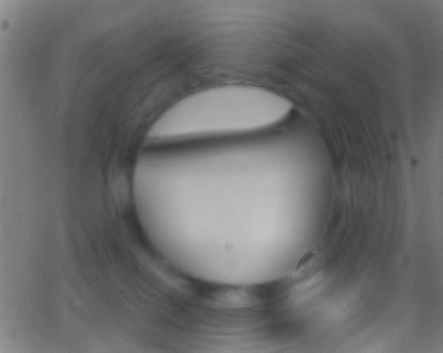 X0000062870086200601131022