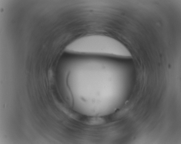 X0000062870087200601131022