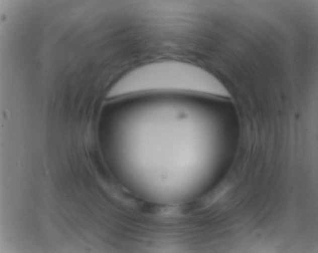 X0000062870088200601131022