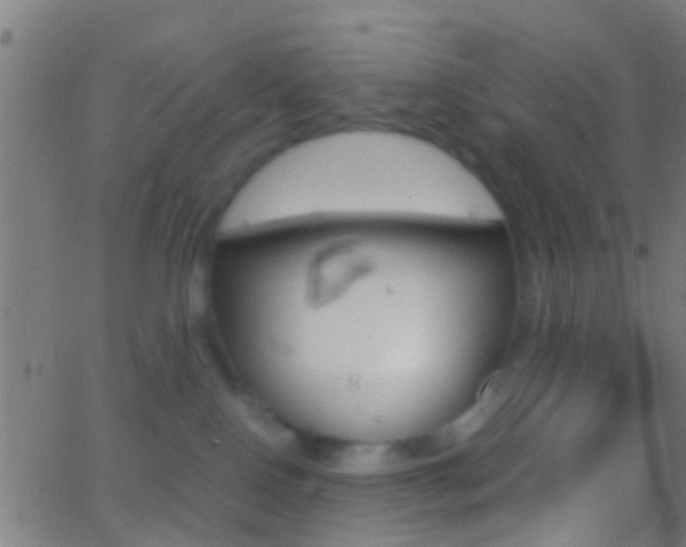 X0000062870090200601131022