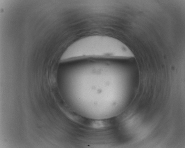 X0000062870091200601131022