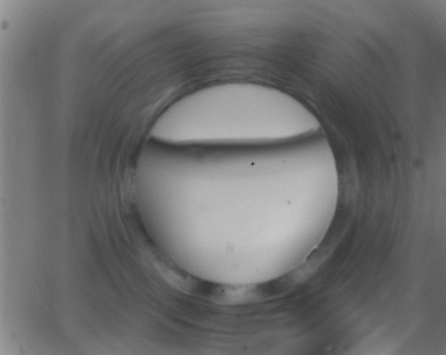 X0000062870093200601131022