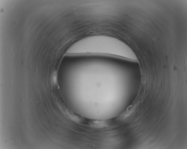 X0000062870095200601131022