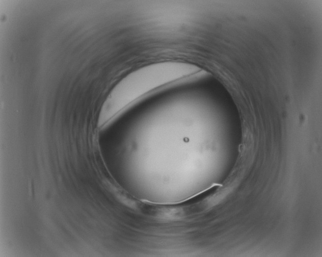 X0000062870096200601131022