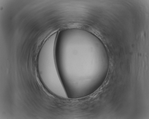 X0000062870097200601131021