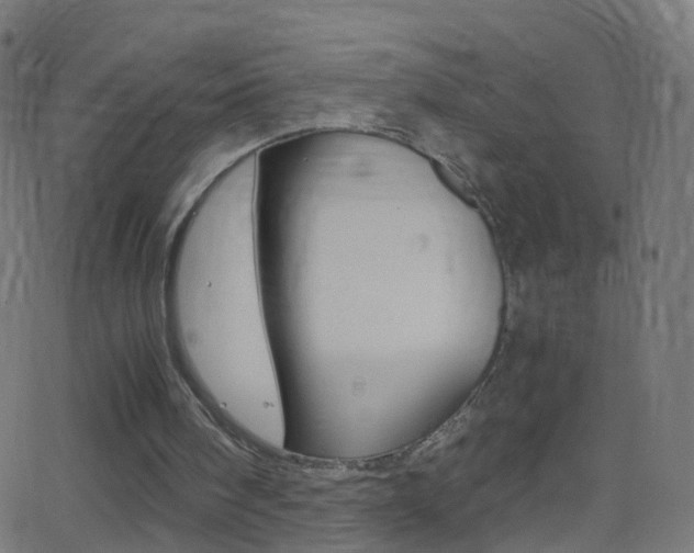 X0000062870098200601131021