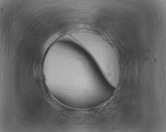 X0000062870099200601131021