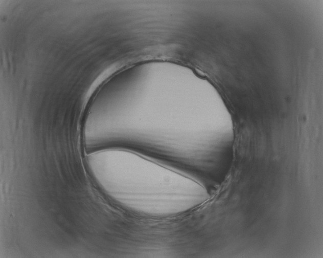 X0000062870100200601131021