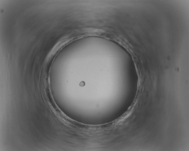 X0000062870101200601131021