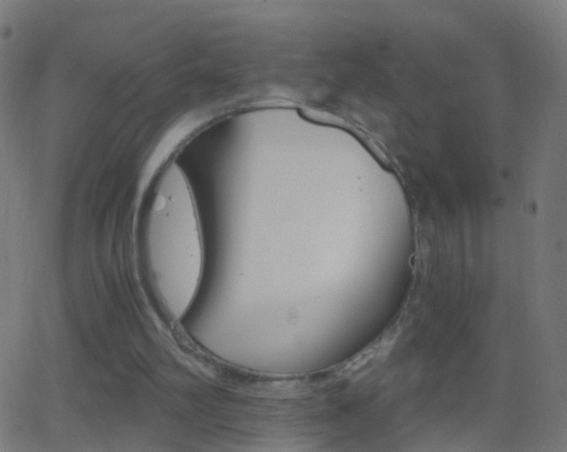 X0000062870102200601131021