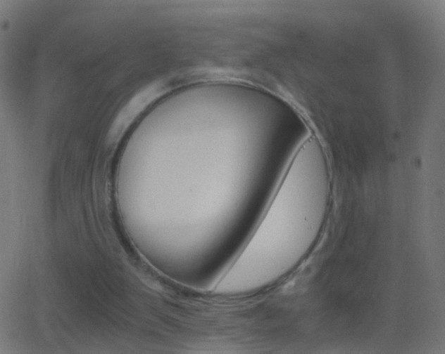 X0000062870103200601131021