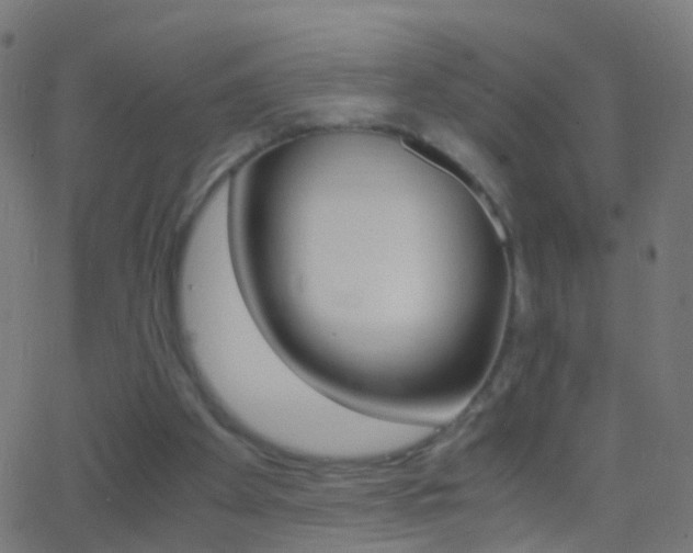 X0000062870105200601131021