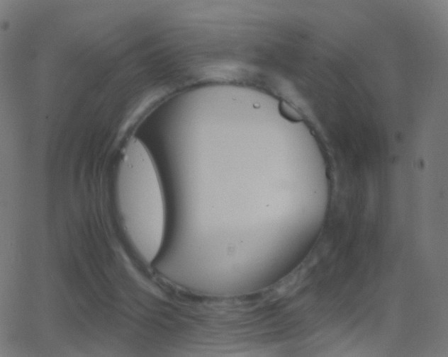 X0000062870106200601131021