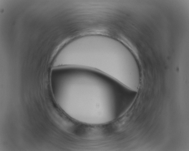 X0000062870107200601131021