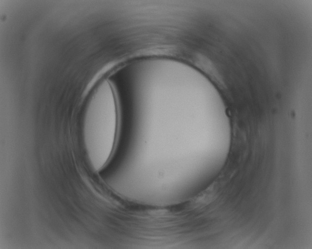 X0000062870108200601131021