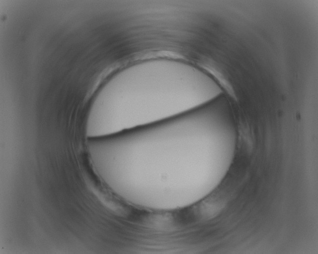 X0000062870110200601131021