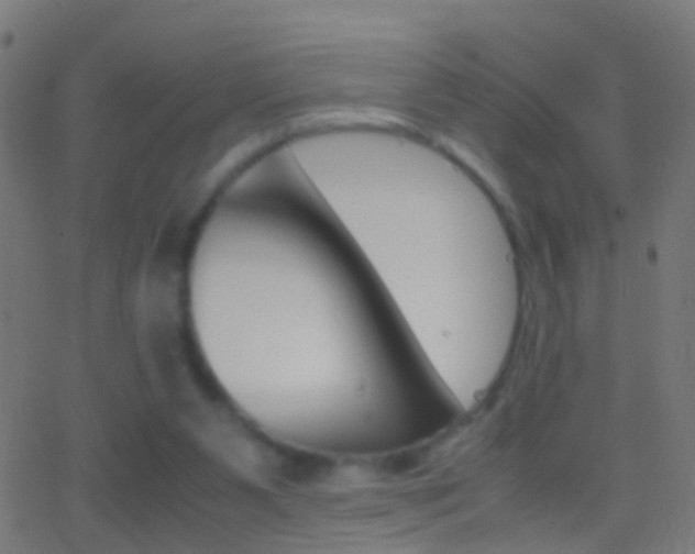 X0000062870111200601131021