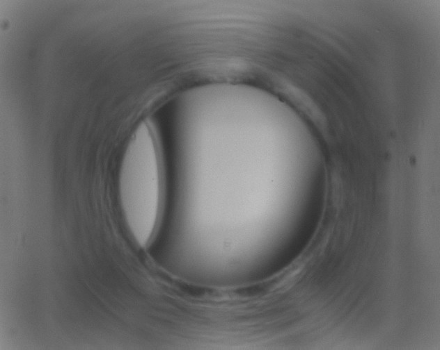 X0000062870113200601131021