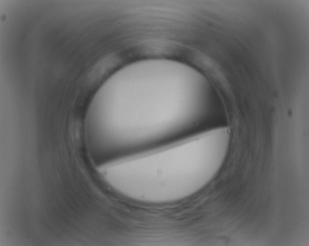 X0000062870115200601131021