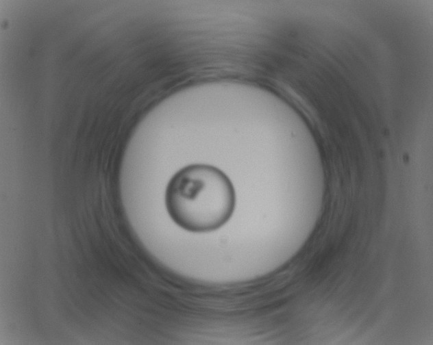 X0000062870117200601131021