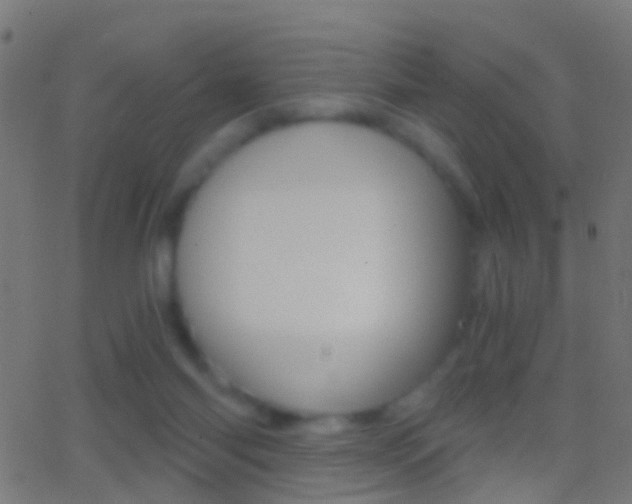 X0000062870118200601131021