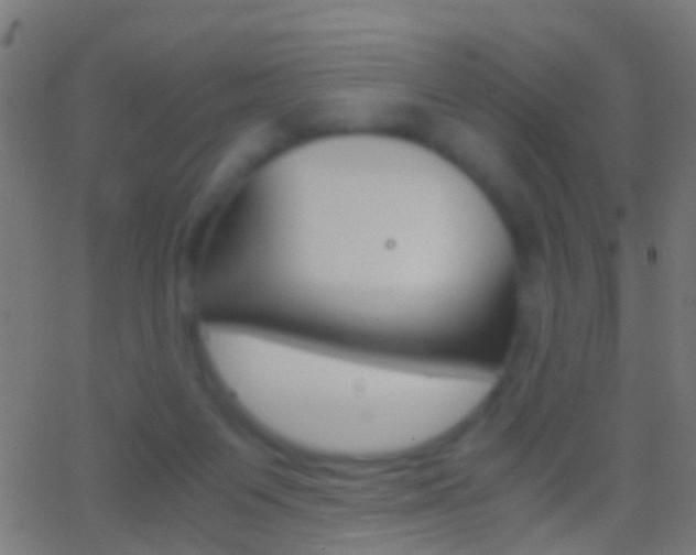 X0000062870119200601131021