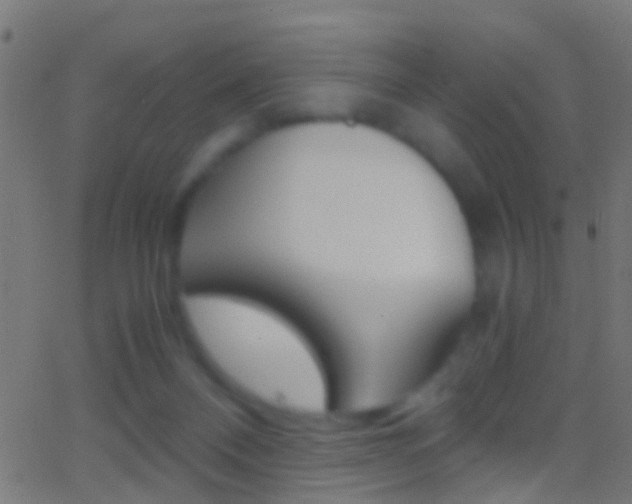 X0000062870120200601131021