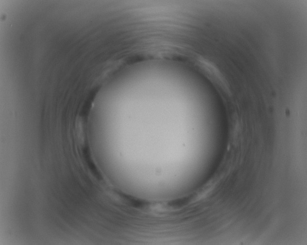 X0000062870121200601131021