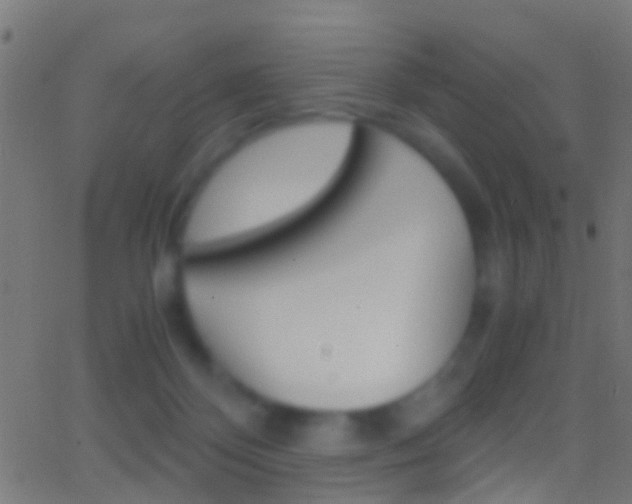 X0000062870124200601131021