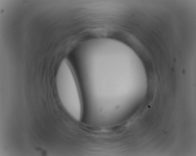 X0000062870125200601131021