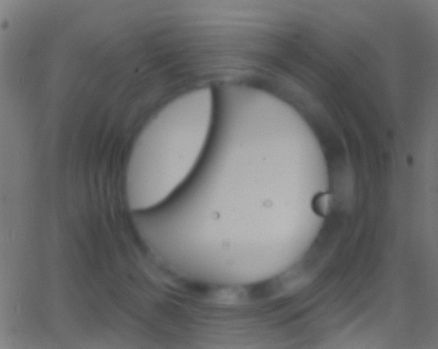 X0000062870126200601131021