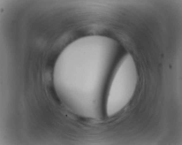 X0000062870127200601131021