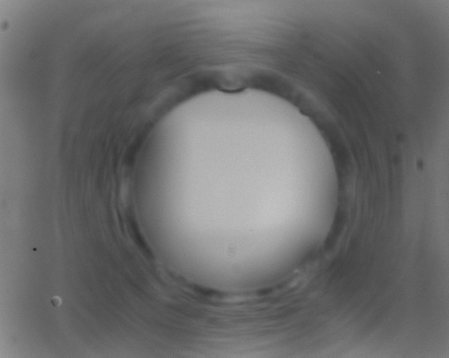 X0000062870129200601131021