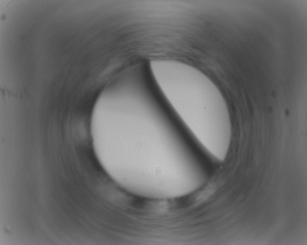 X0000062870131200601131021