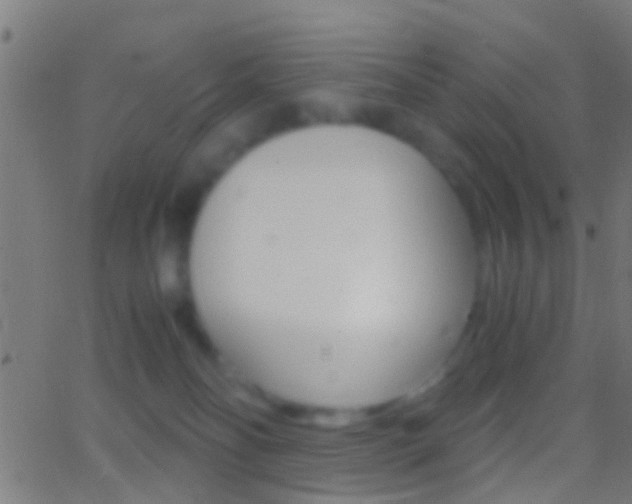 X0000062870134200601131020